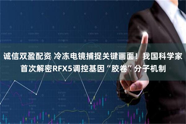 诚信双盈配资 冷冻电镜捕捉关键画面！我国科学家首次解密RFX5调控基因“胶卷”分子机制