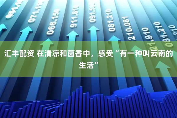 汇丰配资 在清凉和菌香中，感受“有一种叫云南的生活”