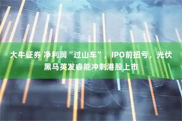 大牛证券 净利润“过山车”，IPO前扭亏，光伏黑马英发睿能冲刺港股上市