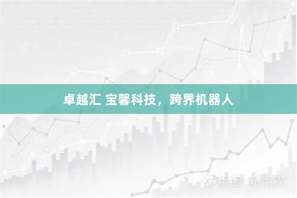 卓越汇 宝馨科技，跨界机器人