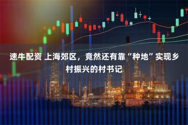 速牛配资 上海郊区，竟然还有靠“种地”实现乡村振兴的村书记