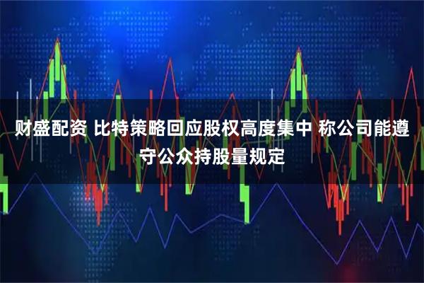 财盛配资 比特策略回应股权高度集中 称公司能遵守公众持股量规定
