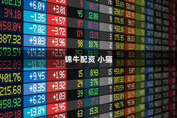 锦牛配资 小猫