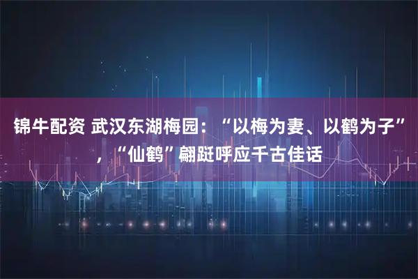 锦牛配资 武汉东湖梅园：“以梅为妻、以鹤为子”，“仙鹤”翩跹呼应千古佳话