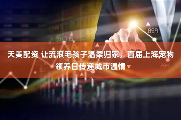天美配资 让流浪毛孩子温柔归家，百届上海宠物领养日传递城市温情